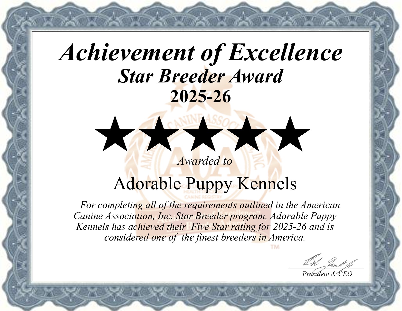 Adorable Puppy, Kennels, dog, breeder, star, certificate, Adorable Puppy-Kennels, Rock Valley, IA, Iowa, puppy, dog, kennels, mill, puppymill, usda, 5-star, aca, ica, registered, Maltese